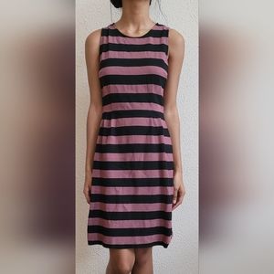 Magenta & Black Loft Dress, Size 2P